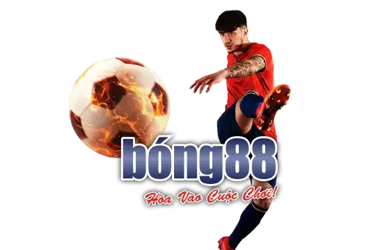 Giải đấu mùa hè 9wim 2026